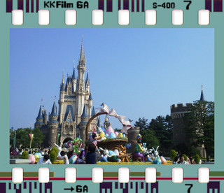 TDL.jpg